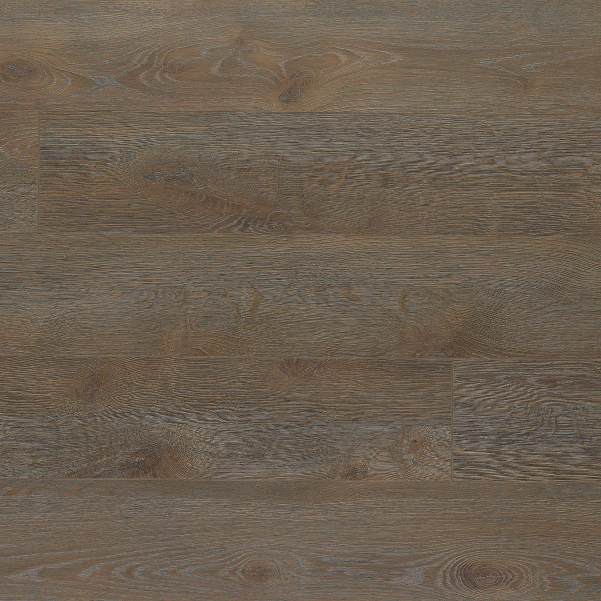 Gentry Oak Laminate Floor Sample